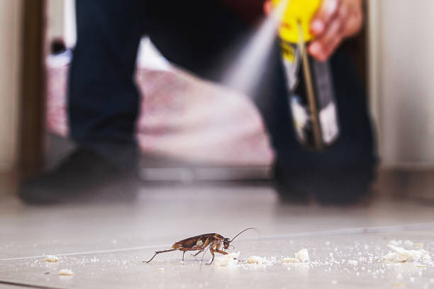 Pest Prevention Services in Gilberts, IL